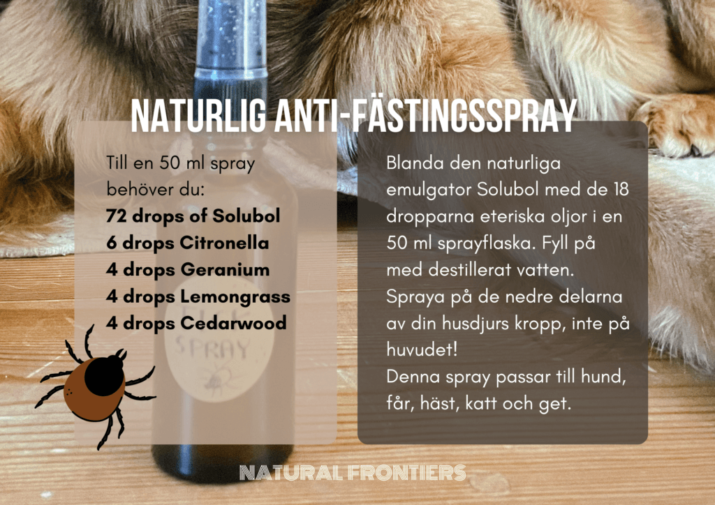 naturlig anti-fästingspray Alternativ fästingspray till hund, katt, får, get och häst