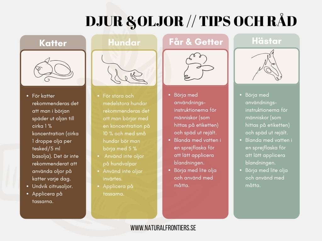djur & oljor __ Tips&råd