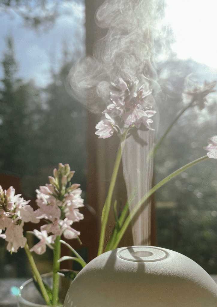 Wanderbliss diffuser
